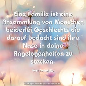 Eine Familie ist eine Ansammlung von Menschen beiderlei Geschlechts die darauf bedacht sind ihre Nase in deine Angelegenheiten zu stecken.
