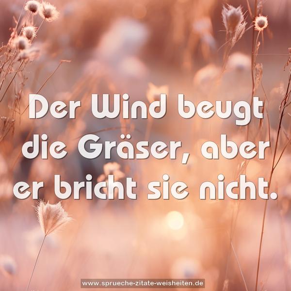 Der Wind beugt die Gräser, aber er bricht sie nicht.