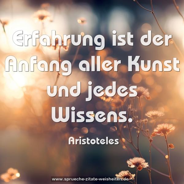 Erfahrung ist der Anfang aller Kunst und jedes Wissens.