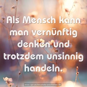 Als Mensch kann man vernünftig denken und trotzdem unsinnig handeln.