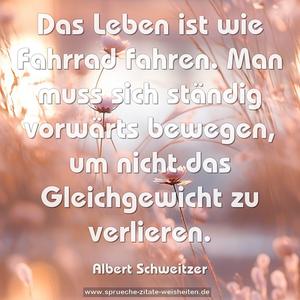 Das Leben ist wie Fahrrad fahren.
Man muss sich ständig vorwärts bewegen,
um nicht das Gleichgewicht zu verlieren.