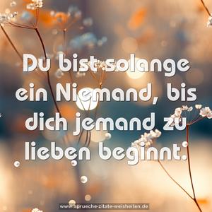 Du bist solange ein Niemand, bis dich jemand zu lieben beginnt.