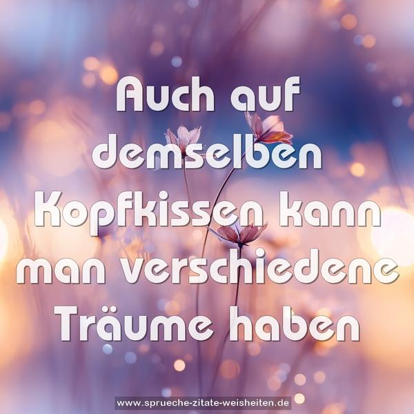 Auch auf demselben Kopfkissen
kann man verschiedene Träume haben