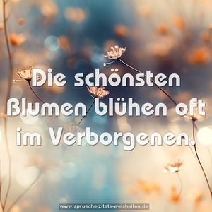 Die schönsten Blumen blühen oft im Verborgenen.