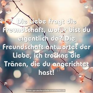 Die Liebe fragt die Freundschaft,
wofür bist du eigentlich da?
Die Freundschaft antwortet der Liebe,
ich trockne die Tränen,
die du angerichtet hast!