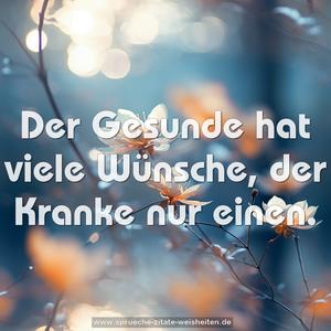 Der Gesunde hat viele Wünsche, 
der Kranke nur einen.
