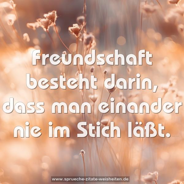 Freundschaft besteht darin,
dass man einander nie im Stich läßt.