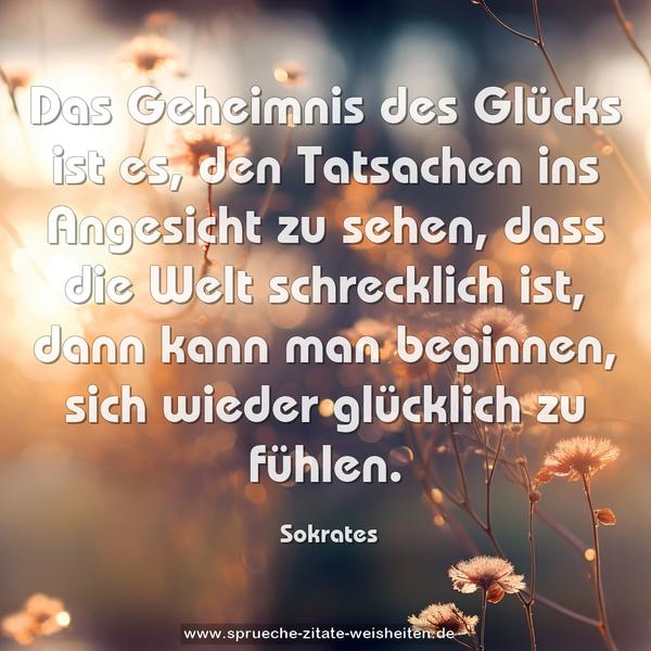 Das Geheimnis des Glücks ist es, den Tatsachen ins Angesicht zu sehen, dass die Welt schrecklich ist, dann kann man beginnen, sich wieder glücklich zu fühlen.