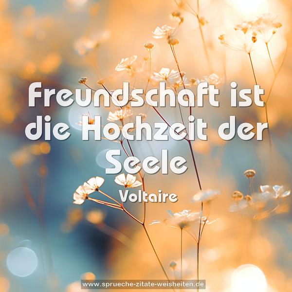 Freundschaft ist die Hochzeit der Seele