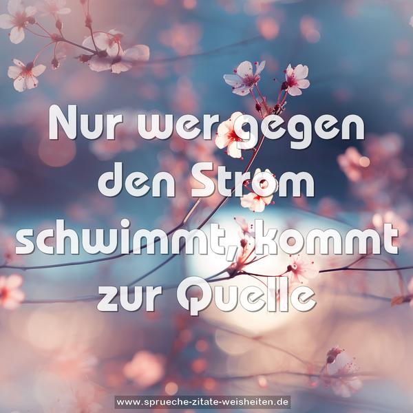 Nur wer gegen den Strom schwimmt,
kommt zur Quelle