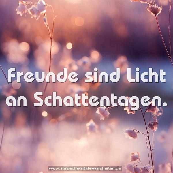 Freunde sind Licht an Schattentagen.