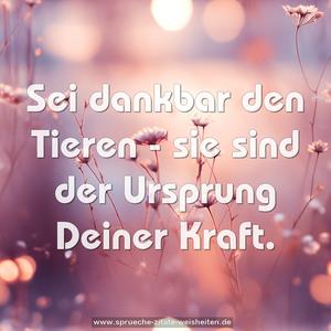 Sei dankbar den Tieren -
sie sind der Ursprung Deiner Kraft.
