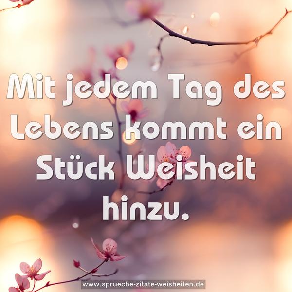 Mit jedem Tag des Lebens kommt ein Stück Weisheit hinzu.