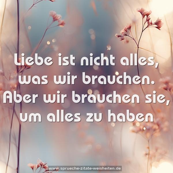 Liebe ist nicht alles,
was wir brauchen.
Aber wir brauchen sie,
um alles zu haben