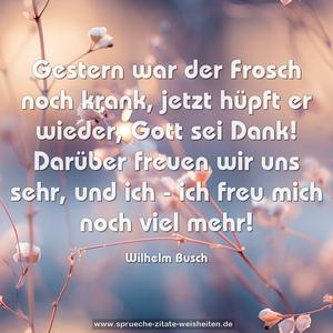 Gestern war der Frosch noch krank,
jetzt hüpft er wieder, Gott sei Dank!
Darüber freuen wir uns sehr,
und ich - ich freu mich noch viel mehr!