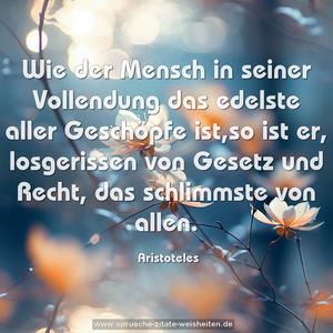 Wie der Mensch in seiner Vollendung das edelste aller Geschöpfe ist,so ist er, losgerissen von Gesetz und Recht,
das schlimmste von allen.
