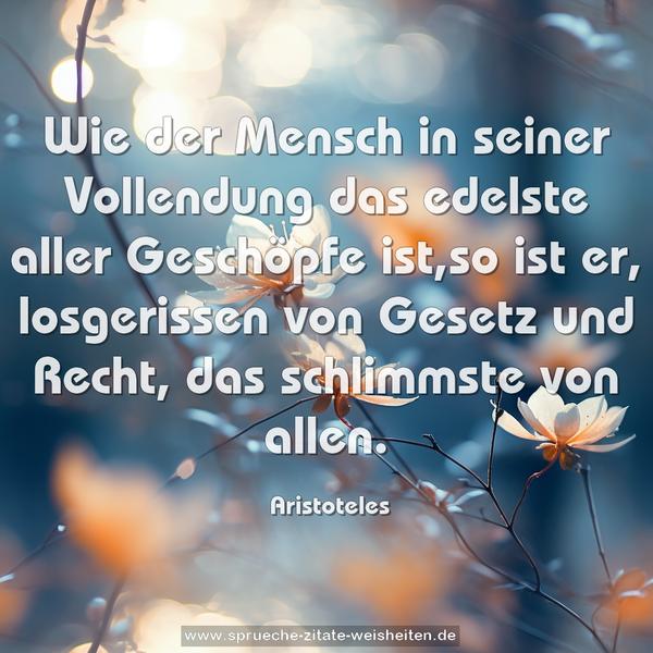 Wie der Mensch in seiner Vollendung das edelste aller Geschöpfe ist,so ist er, losgerissen von Gesetz und Recht,
das schlimmste von allen.
