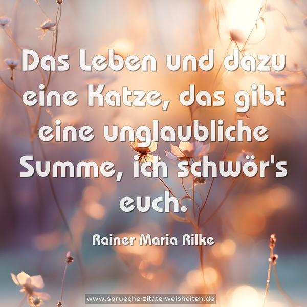 Das Leben und dazu eine Katze,
das gibt eine unglaubliche Summe, ich schwör's euch.