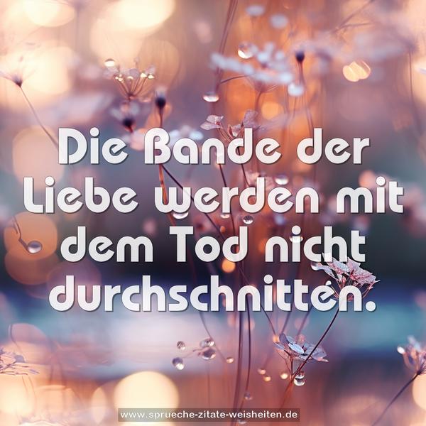 Die Bande der Liebe
werden mit dem Tod nicht durchschnitten.