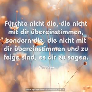 Fürchte nicht die, die nicht mit dir übereinstimmen,
sondern die, die nicht mit dir übereinstimmen
und zu feige sind, es dir zu sagen.