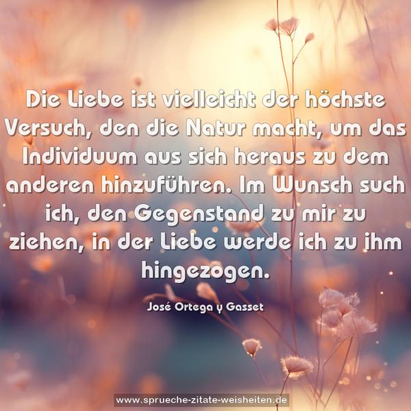 Die Liebe ist vielleicht der höchste Versuch,
den die Natur macht, um das Individuum
aus sich heraus zu dem anderen hinzuführen.
Im Wunsch such ich, den Gegenstand zu mir
zu ziehen, in der Liebe werde ich zu ihm hingezogen.