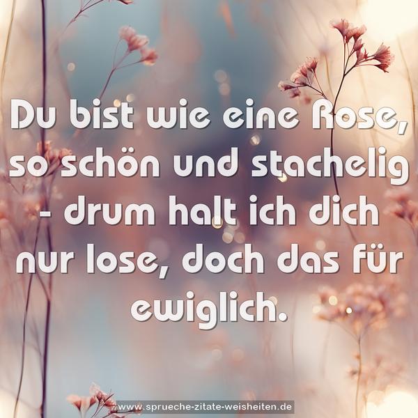 Du bist wie eine Rose,
so schön und stachelig -
drum halt ich dich nur lose,
doch das für ewiglich.