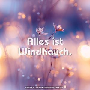 Alles ist Windhauch.