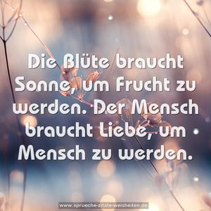 Die Blüte braucht Sonne,
um Frucht zu werden.
Der Mensch braucht Liebe,
um Mensch zu werden.