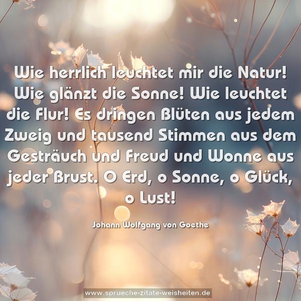 Wie herrlich leuchtet mir die Natur!
Wie glänzt die Sonne!
Wie leuchtet die Flur!
Es dringen Blüten aus jedem Zweig
und tausend Stimmen aus dem Gesträuch
und Freud und Wonne aus jeder Brust.
O Erd, o Sonne, o Glück, o Lust!