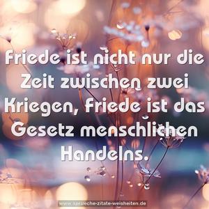 Friede ist nicht nur die Zeit zwischen zwei Kriegen,
Friede ist das Gesetz menschlichen Handelns.
