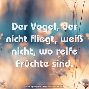 Der Vogel, der nicht fliegt, weiß nicht,
wo reife Früchte sind.