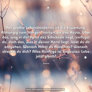 Das größte Lebenshindernis ist die Erwartung:
Abhängig vom Morgen, verliert sie das Heute.
Über das, was in der Hand des Schicksals liegt,
verfügst du, doch das, was in deiner Hand liegt,
lässt du dir entgehen. Wonach hältst du Ausschau?
Wonach streckst du dich?
Alles Künftige ist ungewiss: Lebe jetzt gleich!