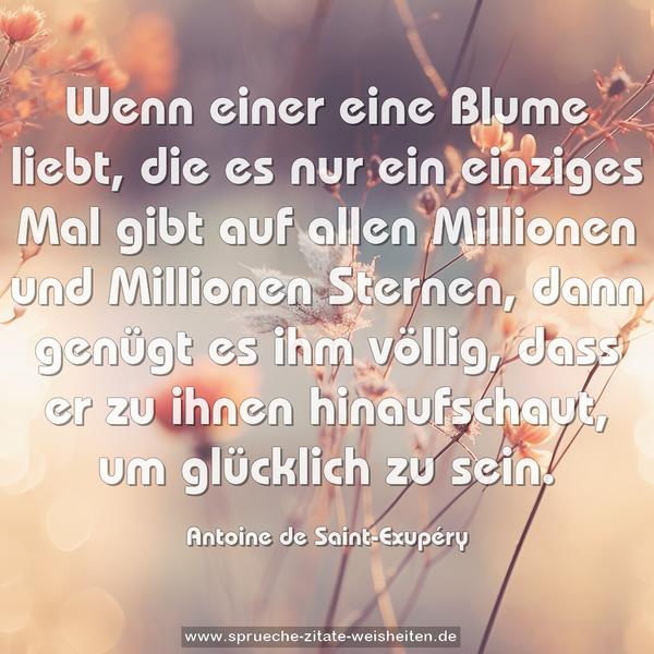 Wenn einer eine Blume liebt, die es nur ein einziges Mal gibt auf allen Millionen und Millionen Sternen, dann genügt es ihm völlig, dass er zu ihnen hinaufschaut, um glücklich zu sein.