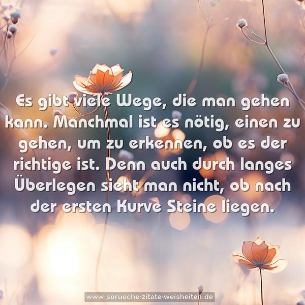 Es gibt viele Wege, die man gehen kann.
Manchmal ist es nötig, einen zu gehen,
um zu erkennen, ob es der richtige ist.
Denn auch durch langes Überlegen sieht man nicht,
ob nach der ersten Kurve Steine liegen.