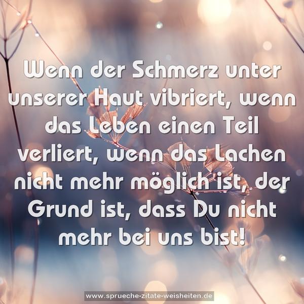 Wenn der Schmerz unter unserer Haut vibriert,
wenn das Leben einen Teil verliert,
wenn das Lachen nicht mehr möglich ist,
der Grund ist, dass Du nicht mehr bei uns bist!