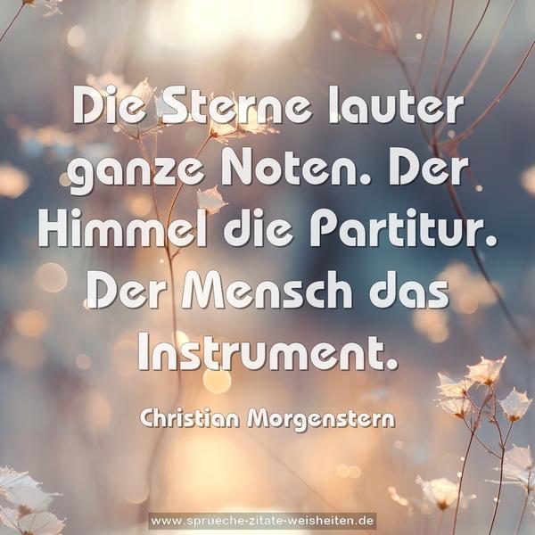 Die Sterne lauter ganze Noten.
Der Himmel die Partitur.
Der Mensch das Instrument.