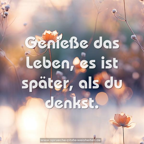 Genieße das Leben,
es ist später, als du denkst.
