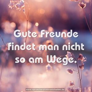 Gute Freunde findet man nicht so am Wege.