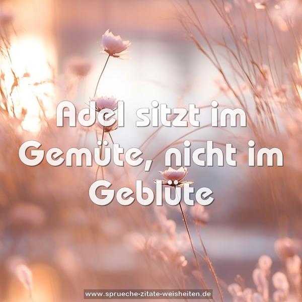 Adel sitzt im Gemüte,
nicht im Geblüte