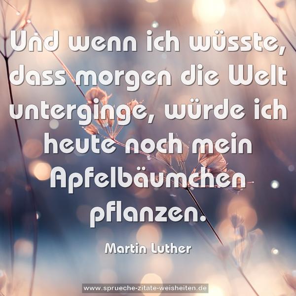 Und wenn ich wüsste,
dass morgen die Welt unterginge,
würde ich heute noch
mein Apfelbäumchen pflanzen.