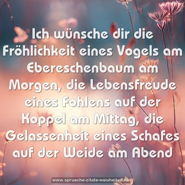 Ich wünsche dir
die Fröhlichkeit eines Vogels am Ebereschenbaum am Morgen,
die Lebensfreude eines Fohlens auf der Koppel am Mittag,
die Gelassenheit eines Schafes auf der Weide am Abend