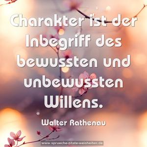 Charakter ist der Inbegriff
des bewussten und unbewussten Willens.