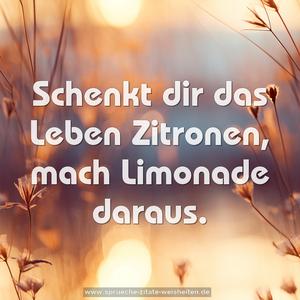 Schenkt dir das Leben Zitronen, mach Limonade daraus.