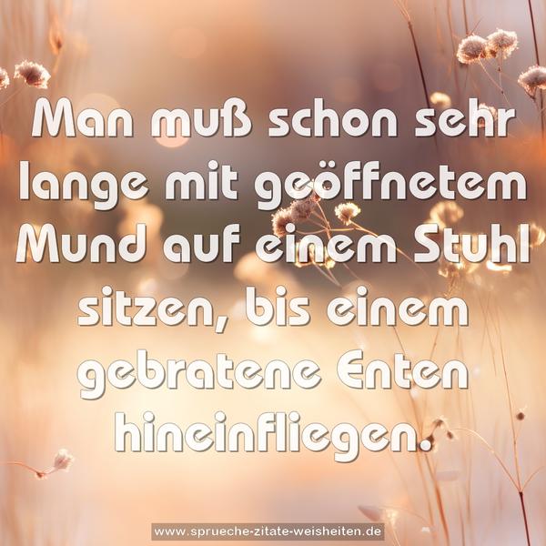 Man muß schon sehr lange mit geöffnetem Mund auf einem Stuhl sitzen, bis einem gebratene Enten hineinfliegen.