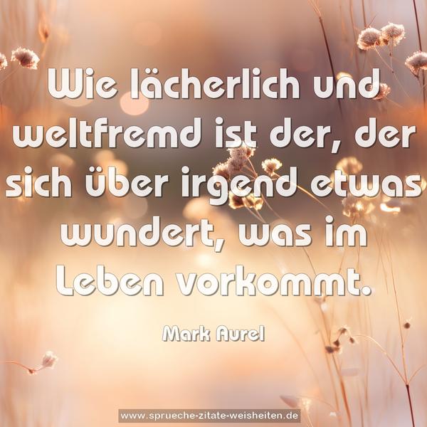Wie lächerlich und weltfremd ist der,
der sich über irgend etwas wundert, was im Leben vorkommt.