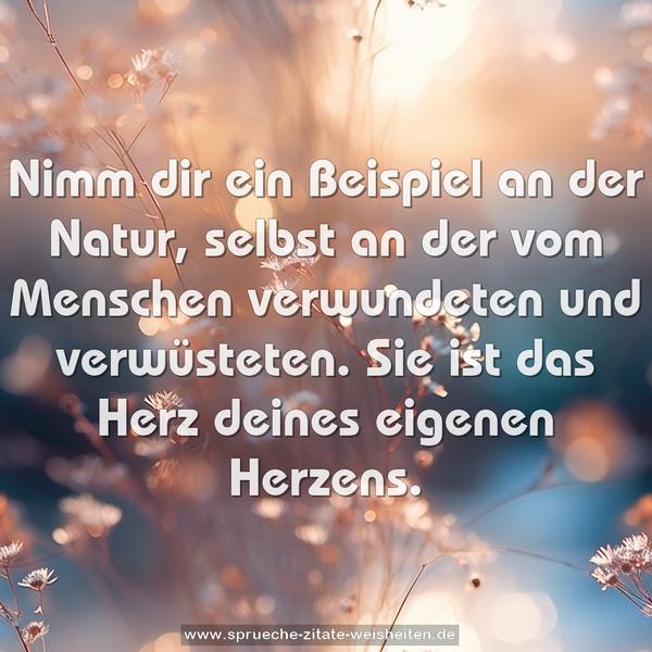 Nimm dir ein Beispiel an der Natur,
selbst an der vom Menschen verwundeten und verwüsteten.
Sie ist das Herz deines eigenen Herzens.