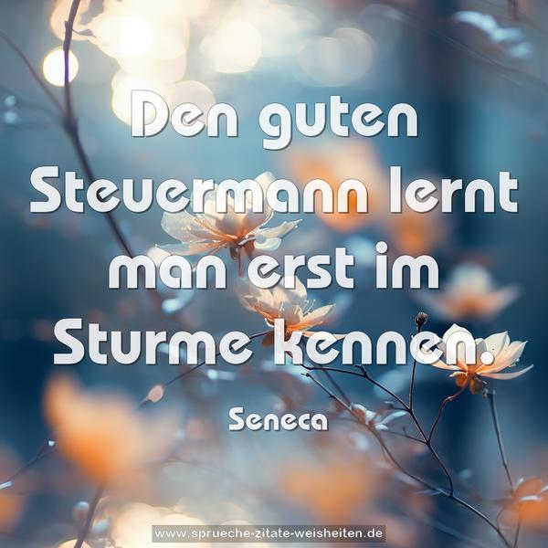 Den guten Steuermann lernt man erst im Sturme kennen.