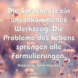 Die Sprache ist ein unvollkommenes Werkzeug.
Die Probleme des Lebens sprengen alle Formulierungen.