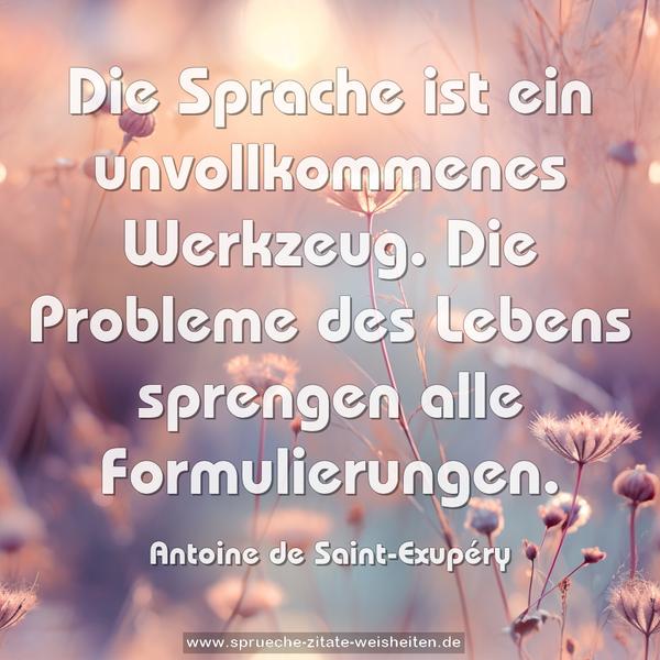 Die Sprache ist ein unvollkommenes Werkzeug.
Die Probleme des Lebens sprengen alle Formulierungen.