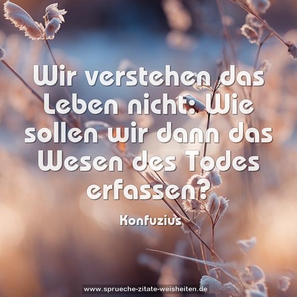 Wir verstehen das Leben nicht:
Wie sollen wir dann das Wesen des Todes erfassen?
